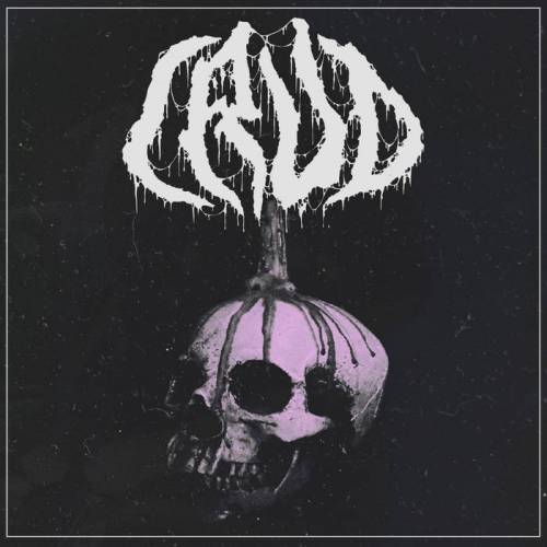 Crud (USA-2) : Resin